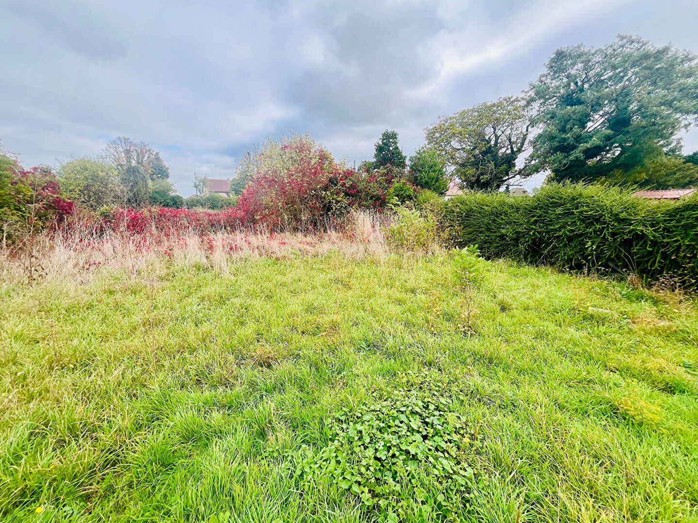 TERRAIN CONSTRUCTIBLE de 464 m2 CAGNY